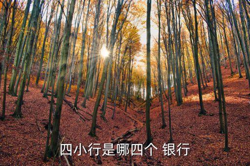 四小行是哪四個 銀行