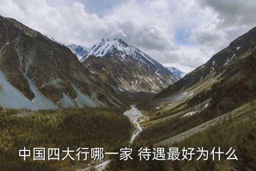 中國(guó)四大行哪一家 待遇最好為什么