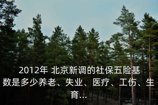  2012年 北京新調(diào)的社保五險(xiǎn)基數(shù)是多少養(yǎng)老、失業(yè)、醫(yī)療、工傷、生育...