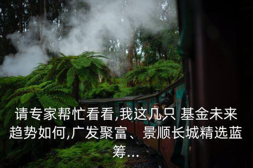 請專家?guī)兔纯?我這幾只 基金未來趨勢如何,廣發(fā)聚富、景順長城精選藍(lán)籌...