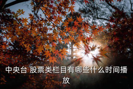 中央臺(tái) 股票類(lèi)欄目有哪些什么時(shí)間播放