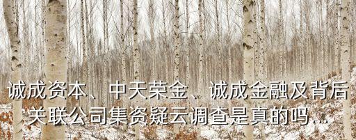 誠成資本、中天榮金、誠成金融及背后關(guān)聯(lián)公司集資疑云調(diào)查是真的嗎...
