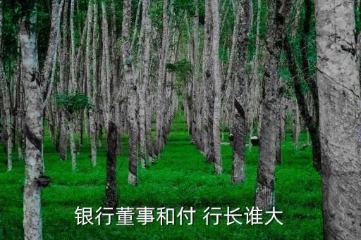 銀行董事和付 行長(zhǎng)誰(shuí)大