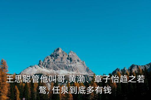 王思聰管他叫哥,黃渤、章子怡趨之若鶩, 任泉到底多有錢