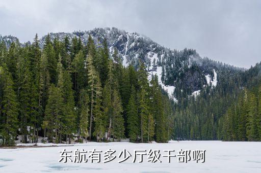 東航股份公司領(lǐng)導名單,中國鐵建股份公司領(lǐng)導名單