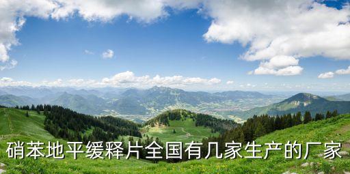 硝苯地平緩釋片全國(guó)有幾家生產(chǎn)的廠家