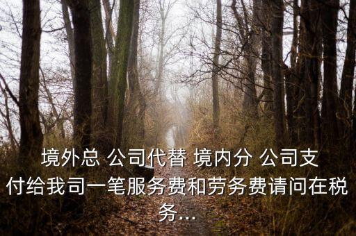 境外總 公司代替 境內(nèi)分 公司支付給我司一筆服務(wù)費(fèi)和勞務(wù)費(fèi)請(qǐng)問在稅務(wù)...