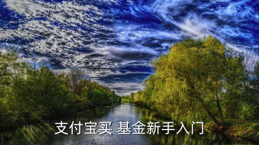 支付寶買(mǎi) 基金新手入門(mén)