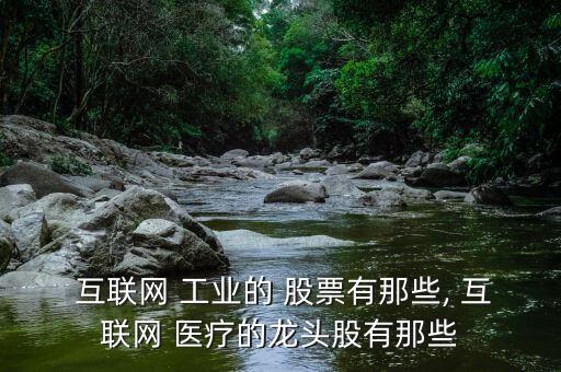  互聯網 工業(yè)的 股票有那些, 互聯網 醫(yī)療的龍頭股有那些