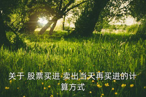 關(guān)于 股票買進 賣出當天再買進的計算方式
