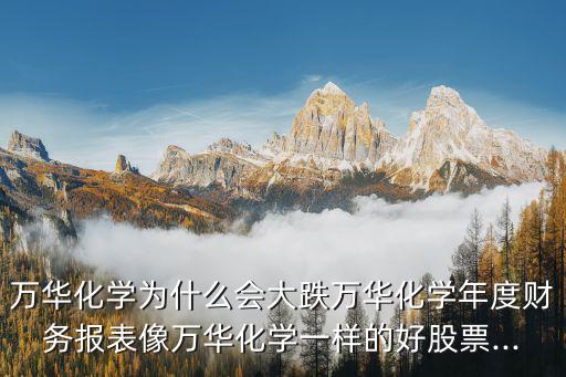 萬華化學為什么會大跌萬華化學年度財務(wù)報表像萬華化學一樣的好股票...