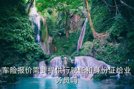 車險(xiǎn)報(bào)價需要提供行駛證和身份證給業(yè)務(wù)員嗎
