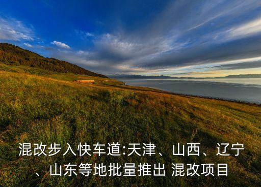  混改步入快車道:天津、山西、遼寧、山東等地批量推出 混改項(xiàng)目