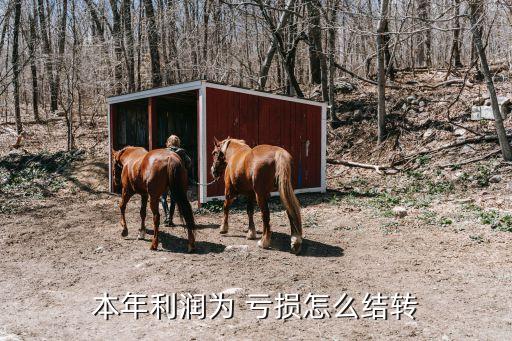 本年利潤(rùn)為 虧損怎么結(jié)轉(zhuǎn)