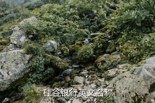  硅谷銀行英文名稱(chēng)