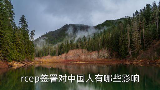 中國新加坡自由貿易協議,新加坡自由貿易港區(qū)的優(yōu)勢