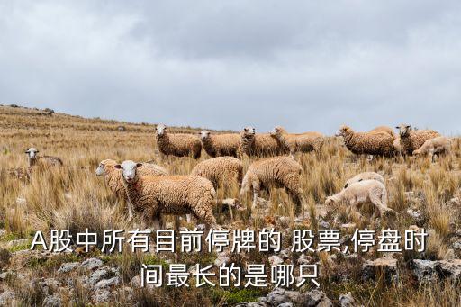 A股中所有目前停牌的 股票,停盤時(shí)間最長的是哪只