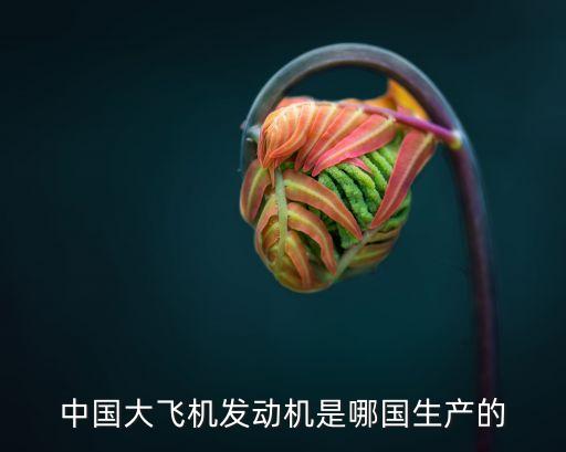 中國大飛機(jī)發(fā)動機(jī)是哪國生產(chǎn)的