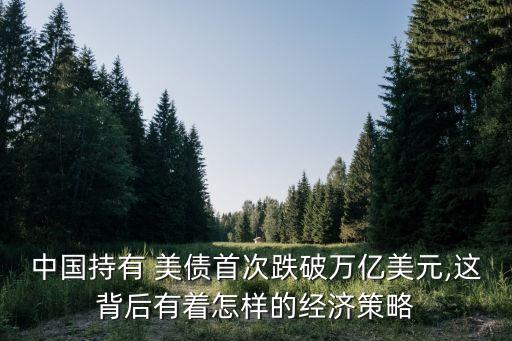 中國(guó)持有 美債首次跌破萬億美元,這背后有著怎樣的經(jīng)濟(jì)策略
