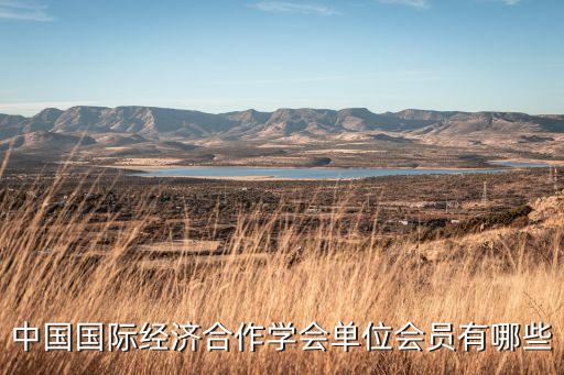 中國地質集團公司北非子公司