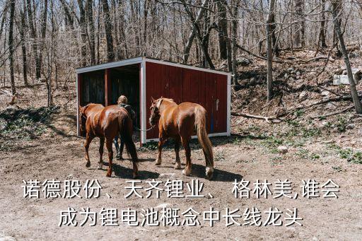 諾德股份、天齊鋰業(yè)、 格林美,誰(shuí)會(huì)成為鋰電池概念中長(zhǎng)線龍頭