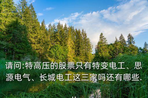 請問:特高壓的股票只有特變電工、思源電氣、長城電工這三家嗎還有哪些...