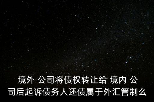 境外公司全權委托境內公司