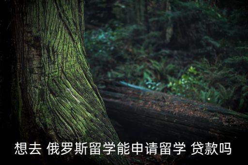 想去 俄羅斯留學(xué)能申請留學(xué) 貸款嗎