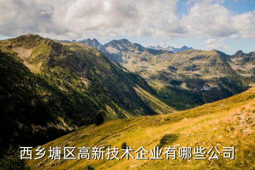 西鄉(xiāng)塘區(qū)高新技術企業(yè)有哪些公司