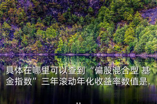 163001基金歷史凈值查詢(xún)