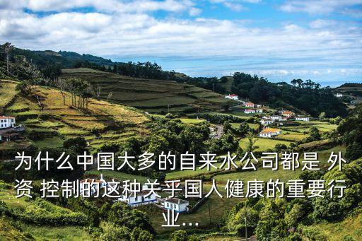 為什么中國(guó)大多的自來水公司都是 外資 控制的這種關(guān)乎國(guó)人健康的重要行業(yè)...
