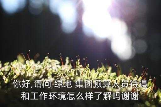 你好,請問 綠地 集團預算人員待遇和工作環(huán)境怎么樣了解嗎謝謝