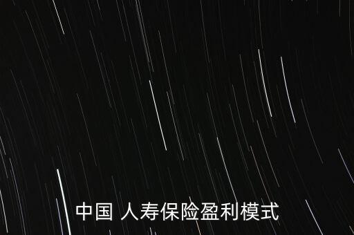 中國 人壽保險盈利模式