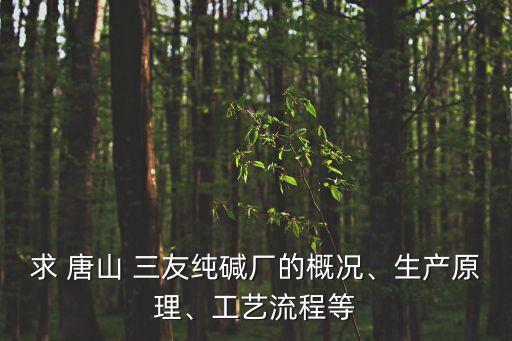 求 唐山 三友純堿廠的概況、生產(chǎn)原理、工藝流程等