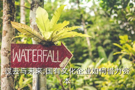 過去與未來:國(guó)有文化企業(yè)如何借力資本