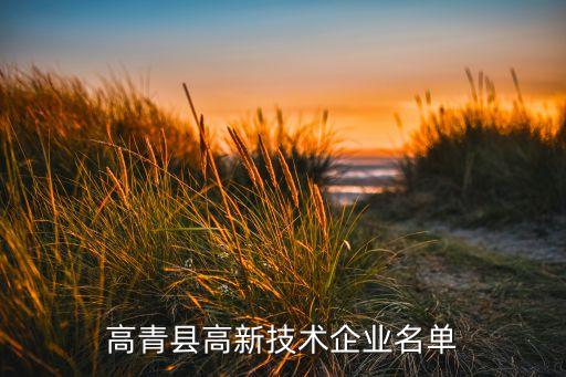 高青縣高新技術企業(yè)名單