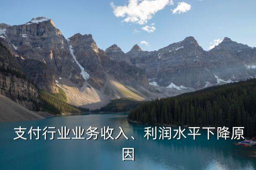  支付行業(yè)業(yè)務收入、利潤水平下降原因