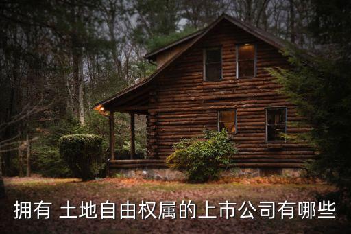 擁有 土地自由權屬的上市公司有哪些