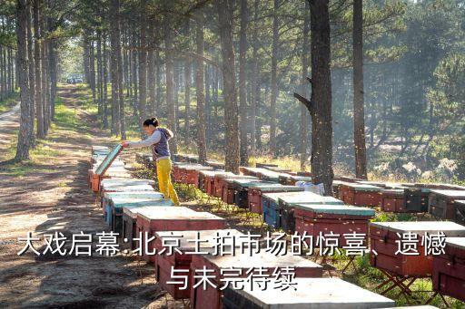 大戲啟幕:北京土拍市場的驚喜、遺憾與未完待續(xù)