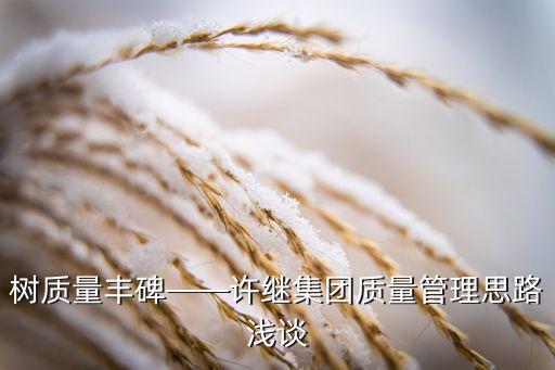 許繼微電網公司,許繼好還是電網公司好