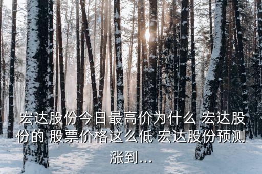  宏達(dá)股份今日最高價(jià)為什么 宏達(dá)股份的 股票價(jià)格這么低 宏達(dá)股份預(yù)測漲到...