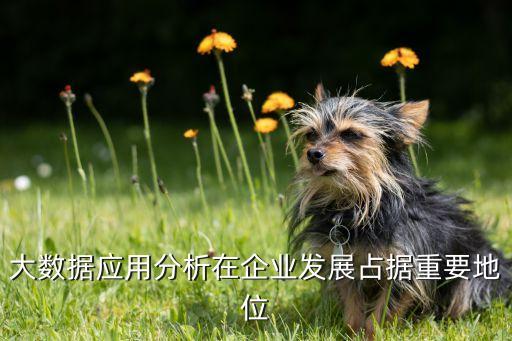 大數(shù)據(jù)應用分析在企業(yè)發(fā)展占據(jù)重要地位