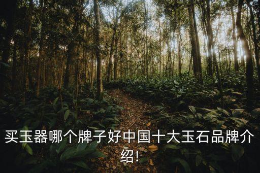 中華龍國(guó)際投資集團(tuán)