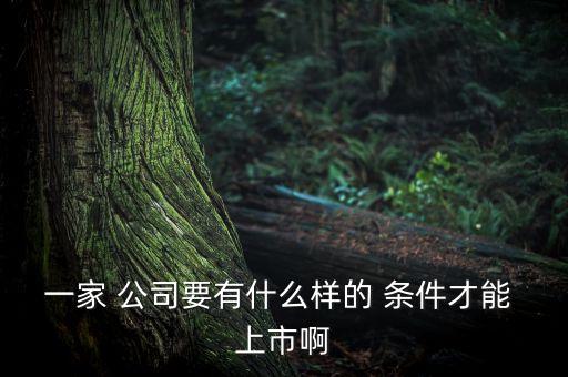 一家 公司要有什么樣的 條件才能 上市啊
