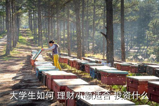 大學生如何 理財小額適合 投資什么