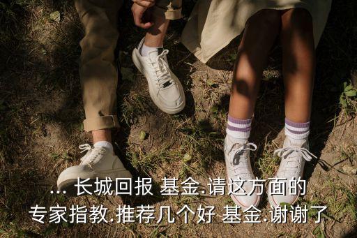 ... 長城回報(bào) 基金.請這方面的專家指教.推薦幾個好 基金.謝謝了