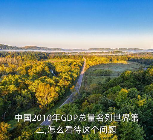 中國2010年GDP總量名列世界第二,怎么看待這個(gè)問題