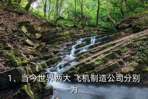 1、當(dāng)今世界兩大 飛機(jī)制造公司分別為
