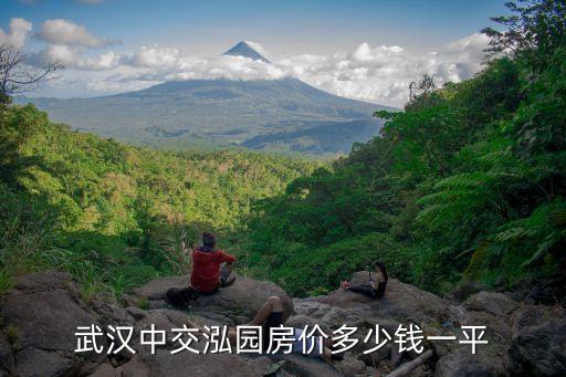 武漢中交泓園房價(jià)多少錢一平