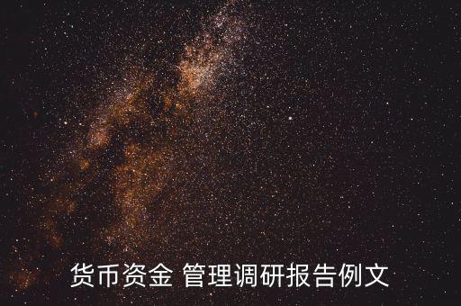 貨幣資金 管理調(diào)研報告例文